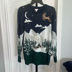 Holiday Lane Christmas Snowy Cabin Sweater Men’s Medium